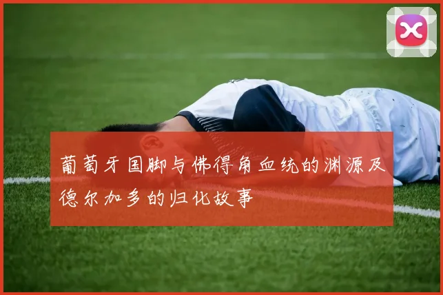 葡萄牙国脚与佛得角血统的渊源及德尔加多的归化故事
